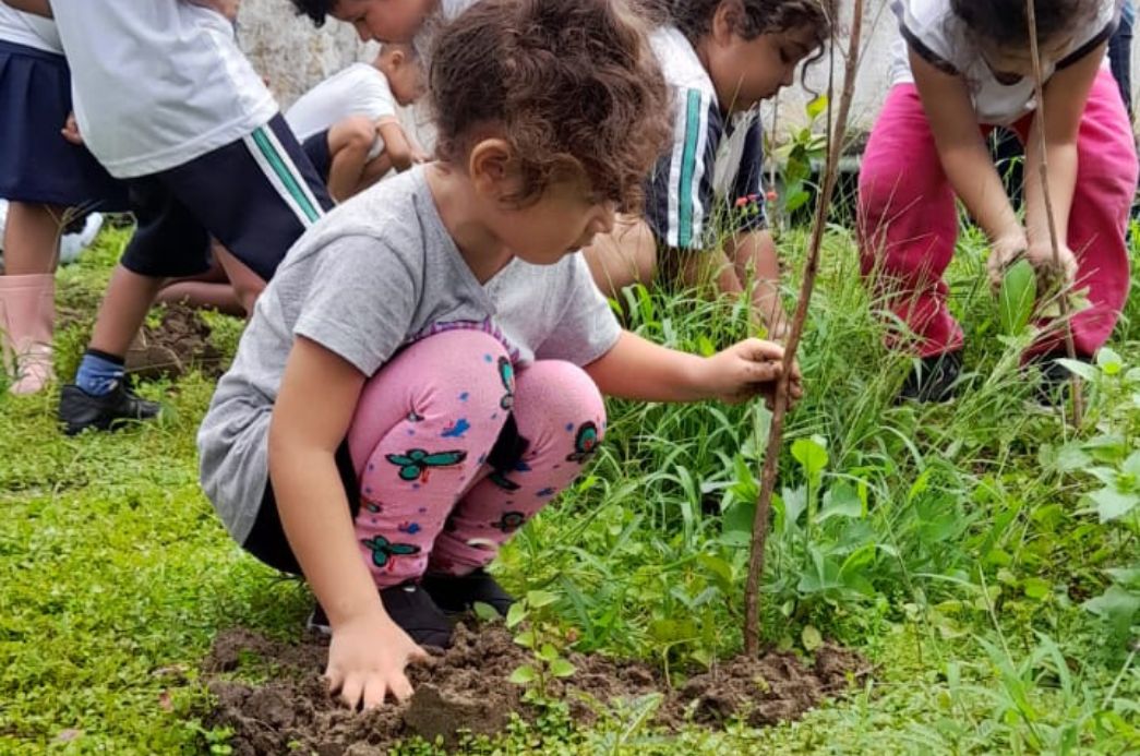 Fotos postar site - 2023-03-03T165317.638