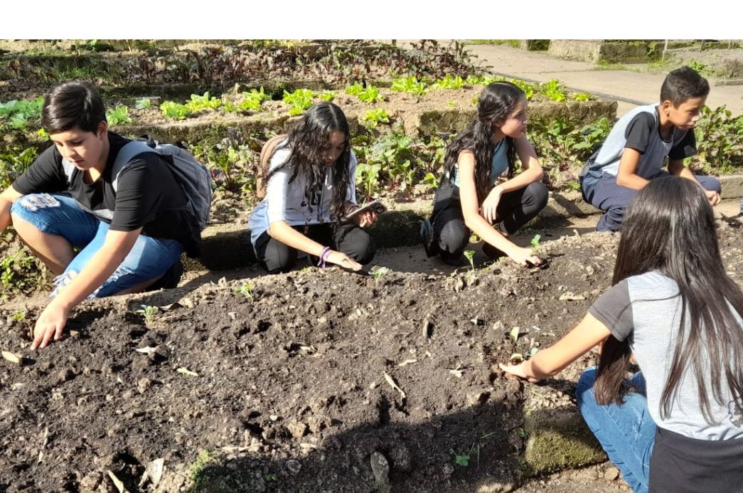 Fotos postar site - 2023-06-27T101307.828