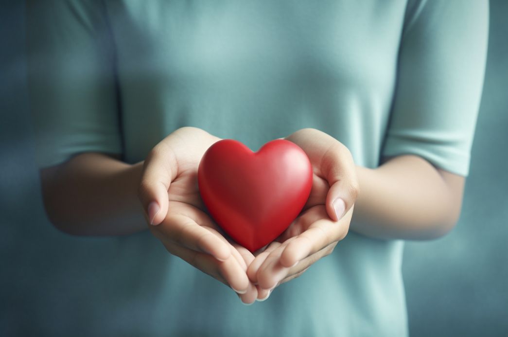 Fotos site - 2023-11-06T134700.406