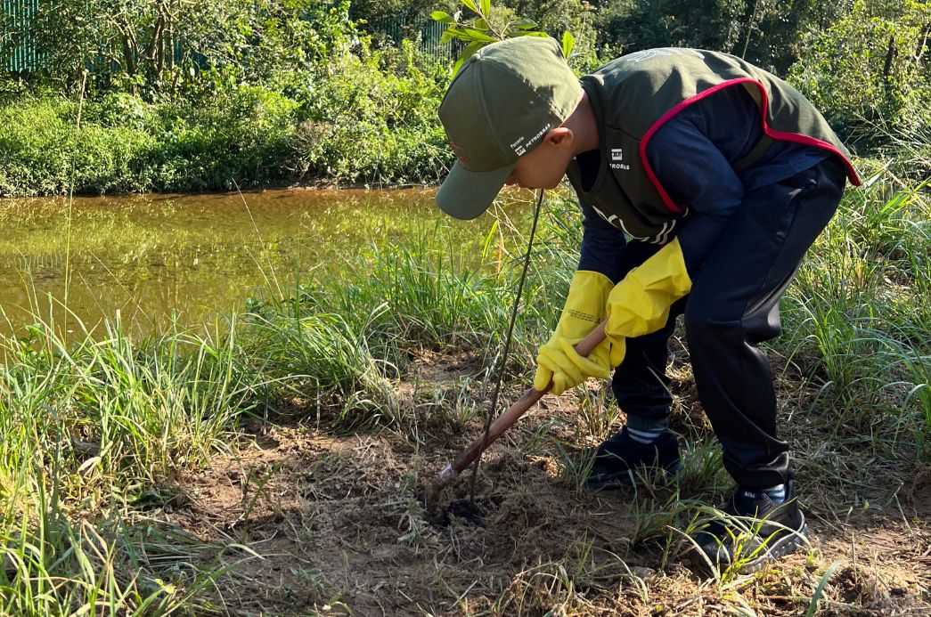 Fotos site - 2024-02-23T185458.654