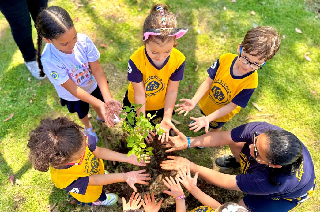 Cópia de FOTO EM DESTAQUE (84)