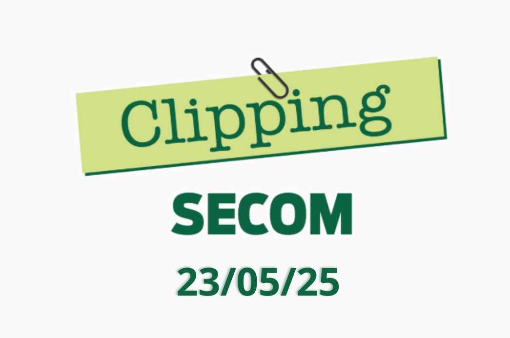 capa clipping site (14)