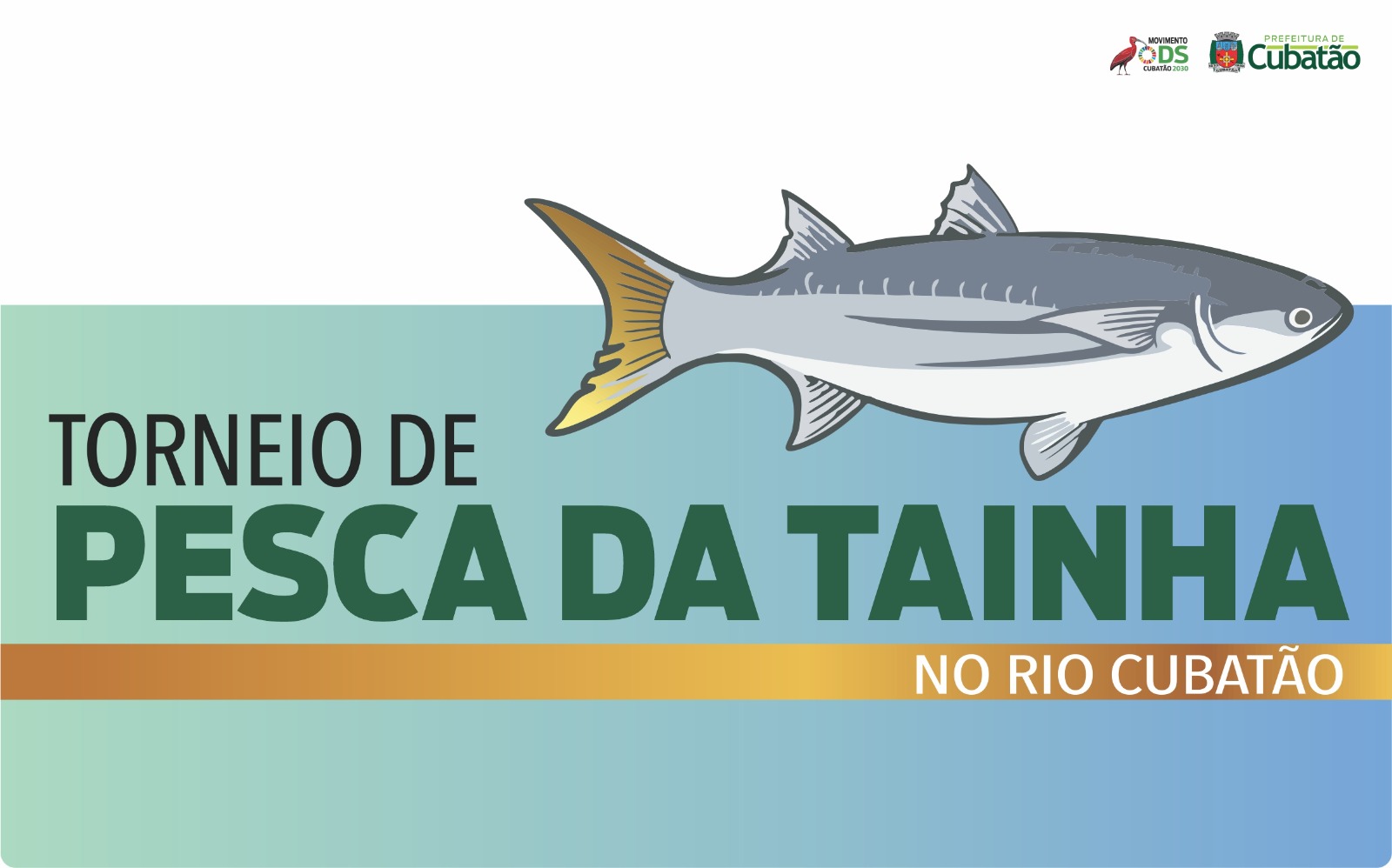 pesca da tainha 2025