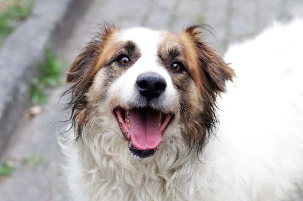 Cópia de FOTO EM DESTAQUE (14)