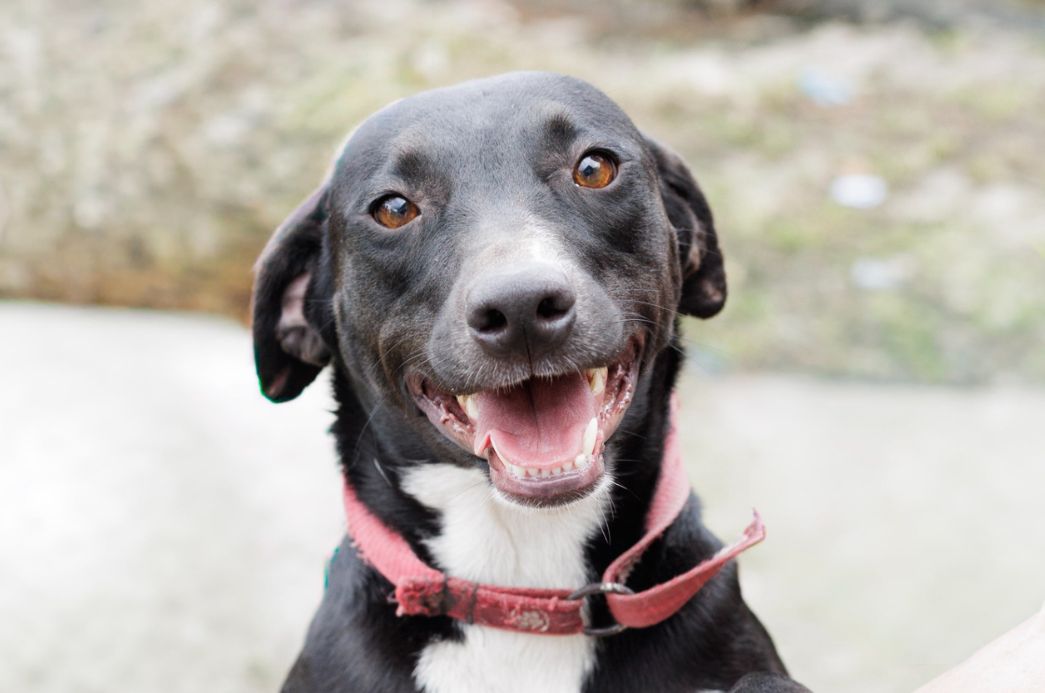 Cópia de FOTO EM DESTAQUE (15)