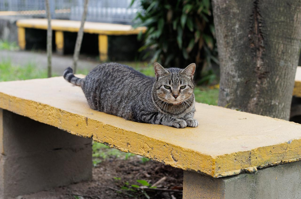 Cópia de FOTO EM DESTAQUE (27)
