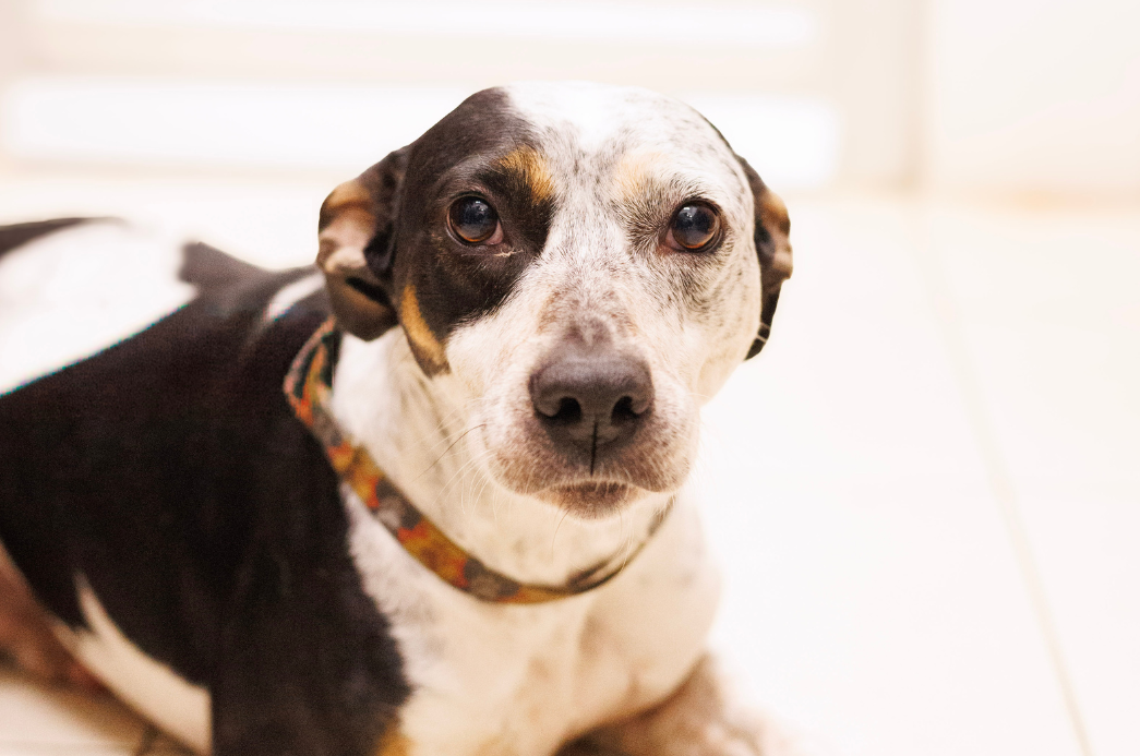 Cópia de FOTO EM DESTAQUE (31)