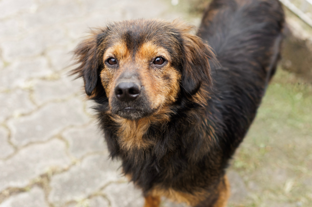 Cópia de FOTO EM DESTAQUE (37)