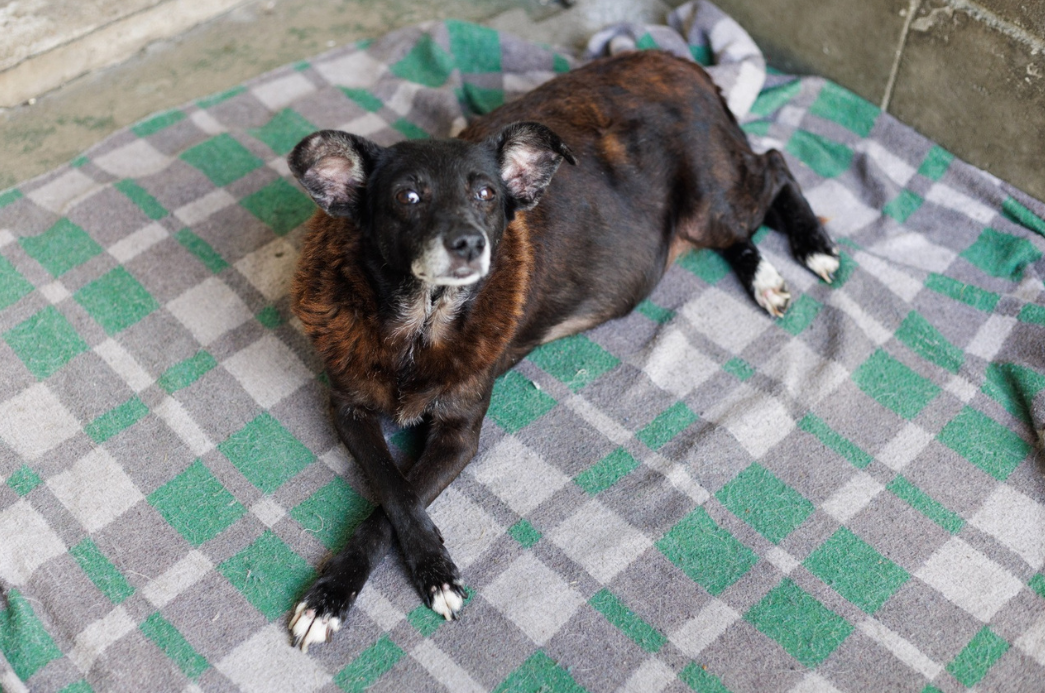 Cópia de FOTO EM DESTAQUE (43)