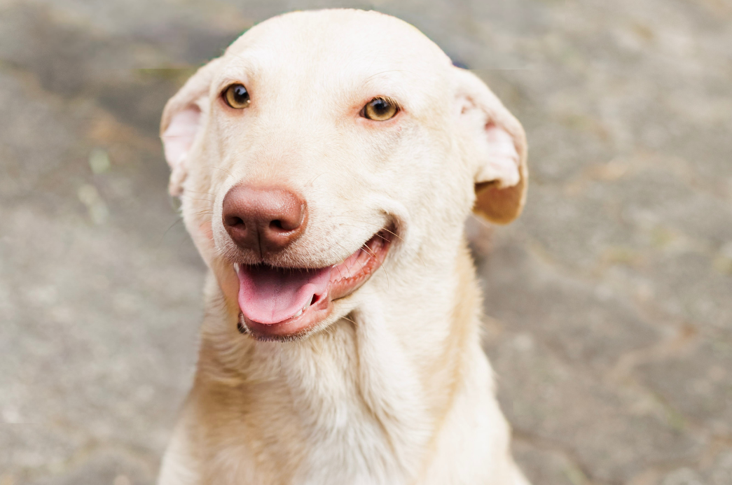 Cópia de FOTO EM DESTAQUE (46)