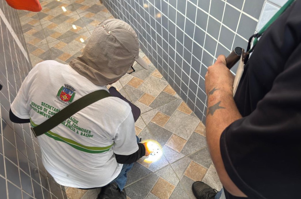 Cópia de FOTO EM DESTAQUE (4)