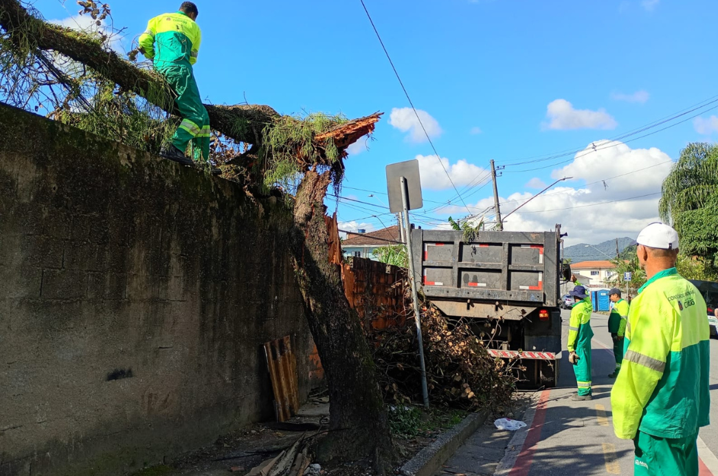 Cópia de FOTO EM DESTAQUE (58)