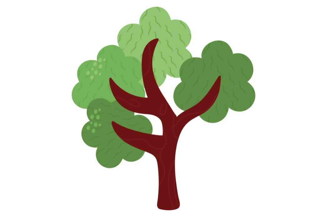 Cópia de FOTO EM DESTAQUE - 2026-02-10T135403.959