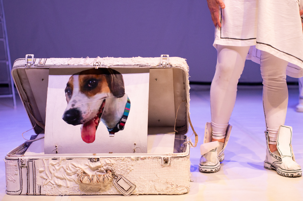 Cópia de FOTO EM DESTAQUE