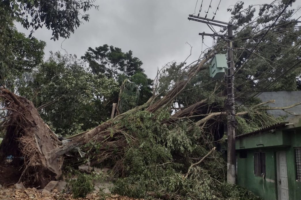 Cópia de FOTO EM DESTAQUE (36)